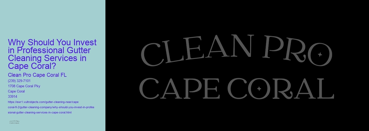 Why Should You Invest in Professional Gutter Cleaning Services in Cape Coral?